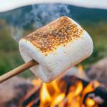 Fireside Marshmallow fragrance oil